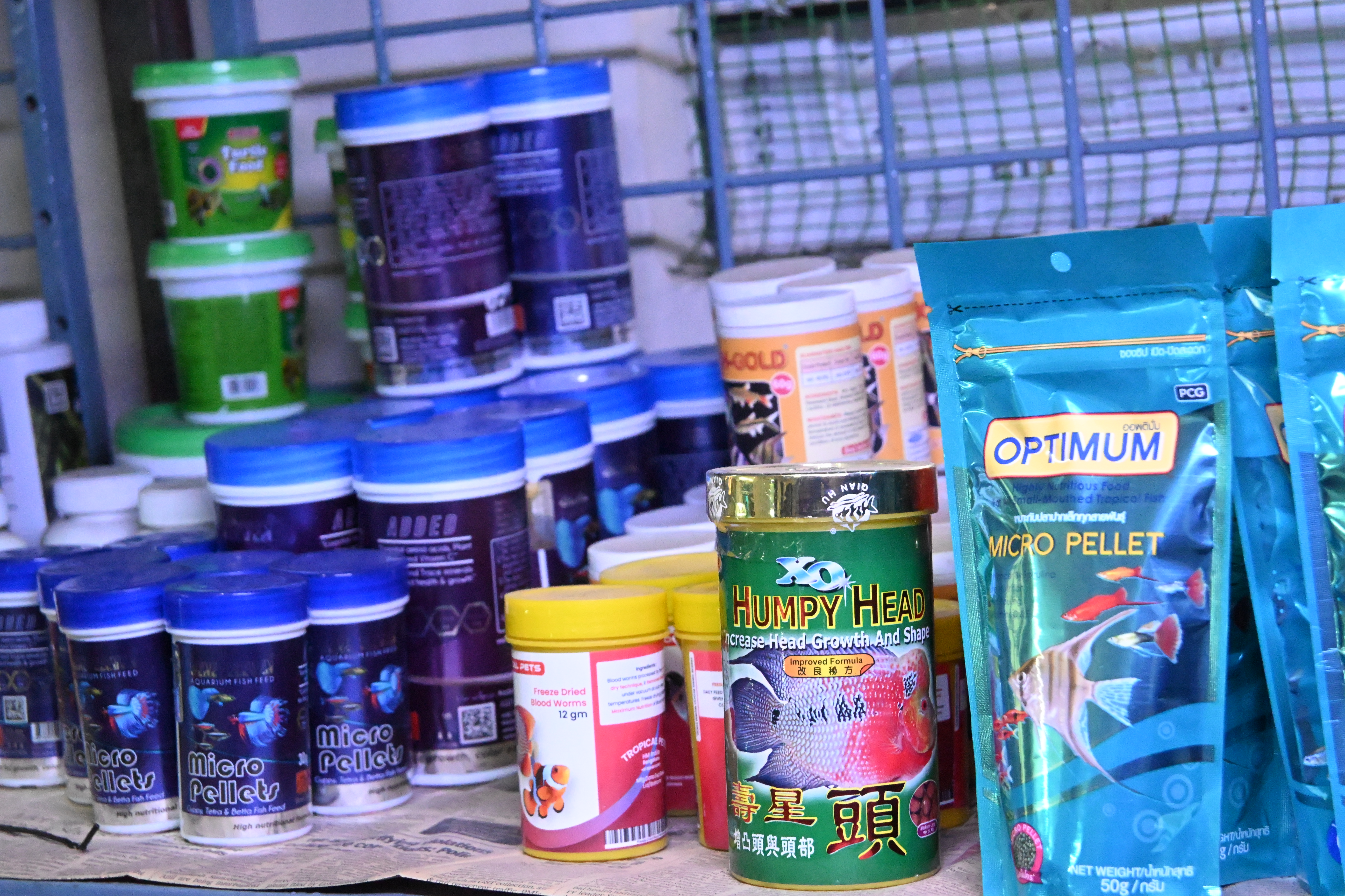 Fish Food and Supplements